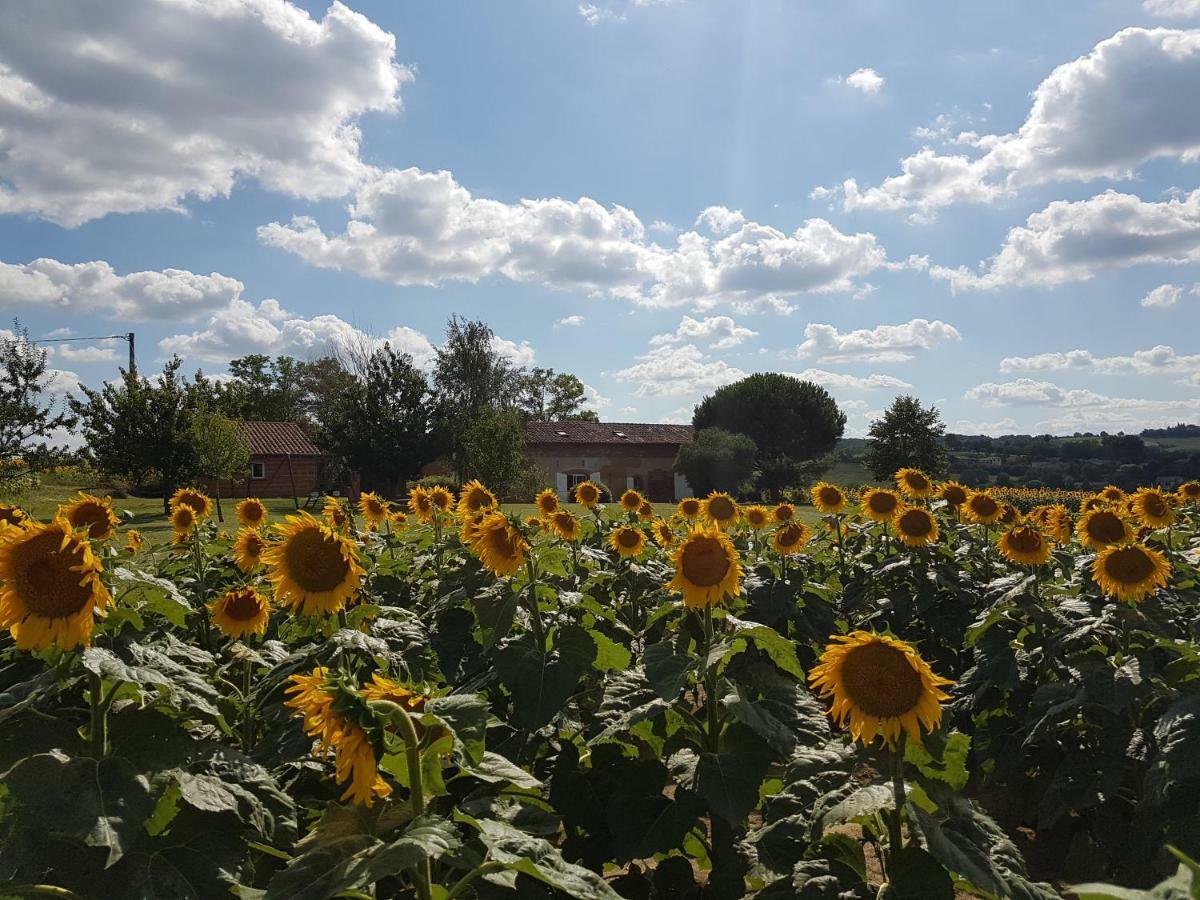 Les Hauts De Sames Deyme Exterior foto